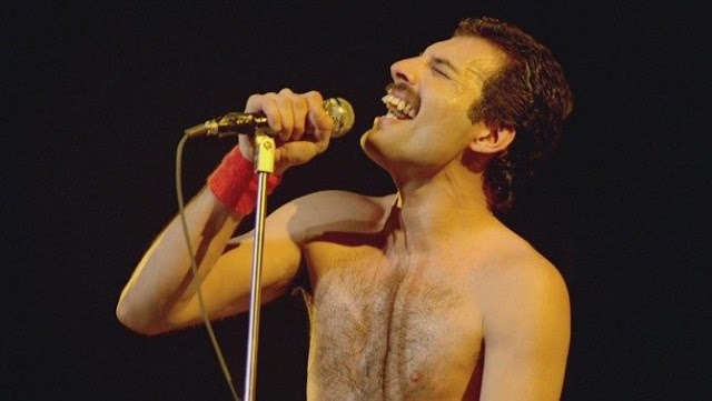 What were the names of Freddie Mercury's cats?